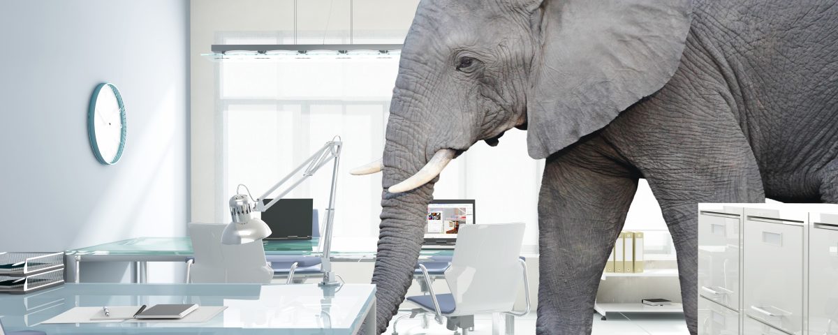 Service Management System like a pet elephant